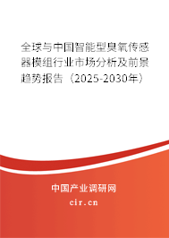 全球與中國智能型臭氧傳感器模組行業(yè)市場分析及前景趨勢報告（2025-2030年）