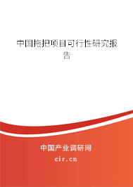中國(guó)拖把項(xiàng)目可行性研究報(bào)告