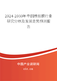2024-2030年中國橡膠模行業(yè)研究分析及發(fā)展走勢(shì)預(yù)測(cè)報(bào)告