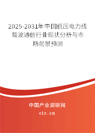 2025-2031年中國低壓電力線載波通信行業(yè)現(xiàn)狀分析與市場前景預(yù)測