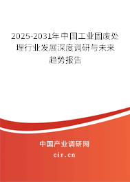 2025-2031年中國工業(yè)固廢處理行業(yè)發(fā)展深度調(diào)研與未來趨勢報(bào)告