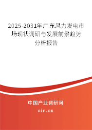 2025-2031年廣東風(fēng)力發(fā)電市場現(xiàn)狀調(diào)研與發(fā)展前景趨勢分析報告 2025-2031年廣東風(fēng)力發(fā)電市場現(xiàn)狀調(diào)研與發(fā)展前景趨勢分析報告