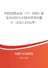 中國聚酰亞胺（PI）薄膜行業(yè)發(fā)展調(diào)研與市場(chǎng)前景預(yù)測(cè)報(bào)告（2025-2031年）