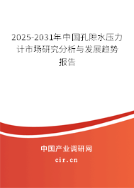 2025-2031年中國(guó)孔隙水壓力計(jì)市場(chǎng)研究分析與發(fā)展趨勢(shì)報(bào)告