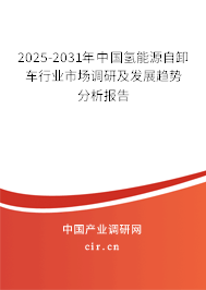 2025-2031年中國氫能源自卸車行業(yè)市場調(diào)研及發(fā)展趨勢分析報告