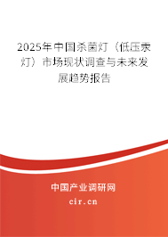 2025年中國殺菌燈(低壓汞燈)市場現(xiàn)狀調(diào)查與未來發(fā)展趨勢報告 2025年中國殺菌燈(低壓汞燈)市場現(xiàn)狀調(diào)查與未來發(fā)展趨勢報告