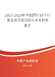 2023-2029年中國(guó)蘇打餅干行業(yè)發(fā)展深度調(diào)研與未來(lái)趨勢(shì)報(bào)告