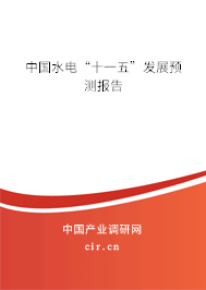 中國水電“十一五”發(fā)展預測報告 中國水電“十一五”發(fā)展預測報告
