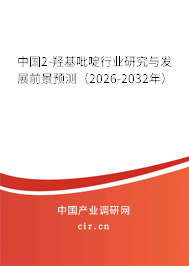 中國2-羥基吡啶行業(yè)研究與發(fā)展前景預(yù)測(2026-2032年) 中國2-羥基吡啶行業(yè)研究與發(fā)展前景預(yù)測(2026-2032年)