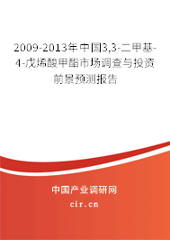 2009-2013年中國(guó)3,3-二甲基-4-戊烯酸甲酯市場(chǎng)調(diào)查與投資前景預(yù)測(cè)報(bào)告 2009-2013年中國(guó)3,3-二甲基-4-戊烯酸甲酯市場(chǎng)調(diào)查與投資前景預(yù)測(cè)報(bào)告