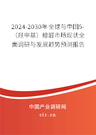 2024-2030年全球與中國5-（羥甲基）糠醛市場現(xiàn)狀全面調(diào)研與發(fā)展趨勢預(yù)測報告