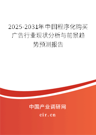 2025-2031年中國(guó)程序化購(gòu)買廣告行業(yè)現(xiàn)狀分析與前景趨勢(shì)預(yù)測(cè)報(bào)告