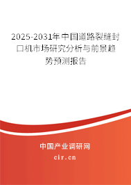 2025-2031年中國道路裂縫封口機(jī)市場研究分析與前景趨勢預(yù)測報(bào)告