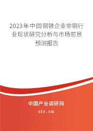 2023年中國鋼鐵企業(yè)非鋼行業(yè)現(xiàn)狀研究分析與市場前景預(yù)測報告