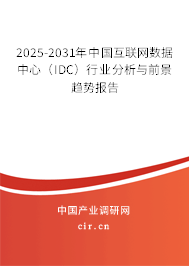 2025-2031年中國互聯(lián)網(wǎng)數(shù)據(jù)中心（IDC）行業(yè)分析與前景趨勢報告