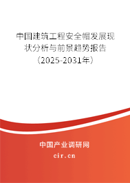 中國建筑工程安全帽發(fā)展現(xiàn)狀分析與前景趨勢報告（2025-2031年）
