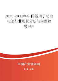 2025-2031年中國鋰離子動(dòng)力電池行業(yè)現(xiàn)狀分析與前景趨勢報(bào)告