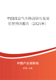 中國煤層氣市場調研與發(fā)展前景預測報告（2025年）