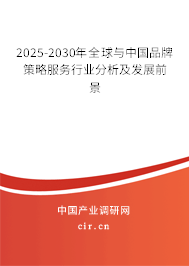 2025-2030年全球與中國(guó)品牌策略服務(wù)行業(yè)分析及發(fā)展前景
