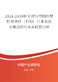 2024-2030年全球與中國熱塑性聚烯烴（TPO）行業(yè)發(fā)展全面調(diào)研與未來趨勢分析