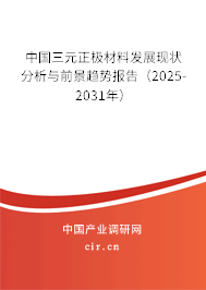 中國三元正極材料發(fā)展現(xiàn)狀分析與前景趨勢(shì)報(bào)告（2025-2031年）