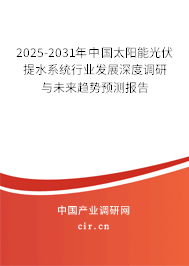 2025-2031年中國太陽能光伏提水系統(tǒng)行業(yè)發(fā)展深度調(diào)研與未來趨勢預測報告