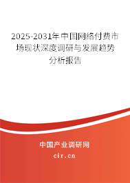 2025-2031年中國網(wǎng)絡(luò)付費(fèi)市場現(xiàn)狀深度調(diào)研與發(fā)展趨勢分析報(bào)告