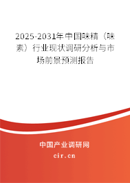 2025-2031年中國味精（味素）行業(yè)現(xiàn)狀調(diào)研分析與市場前景預(yù)測報告