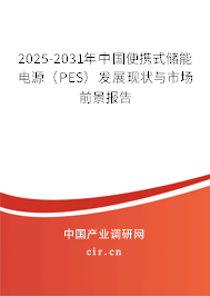 2025-2031年中國(guó)便攜式儲(chǔ)能電源（PES）發(fā)展現(xiàn)狀與市場(chǎng)前景報(bào)告