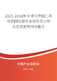 2025-2031年全球與中國二氧化碳固化服務(wù)發(fā)展現(xiàn)狀分析及前景趨勢(shì)預(yù)測(cè)報(bào)告 2025-2031年全球與中國二氧化碳固化服務(wù)發(fā)展現(xiàn)狀分析及前景趨勢(shì)預(yù)測(cè)報(bào)告