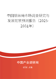 中國鋼絲繩市場調(diào)查研究與發(fā)展前景預測報告（2025-2031年）