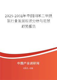2025-2031年中國間苯二甲酰氯行業(yè)發(fā)展現(xiàn)狀分析與前景趨勢(shì)報(bào)告