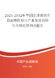 2025-2031年中國京津冀城市群戰(zhàn)略性新興產(chǎn)業(yè)發(fā)展調(diào)研與市場前景預(yù)測報告