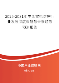 2025-2031年中國雷電防護行業(yè)發(fā)展深度調(diào)研與未來趨勢預(yù)測報告