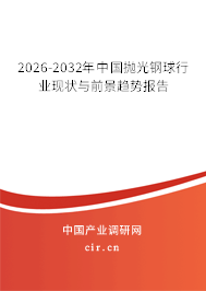 2026-2032年中國拋光鋼球行業(yè)現(xiàn)狀與前景趨勢報告