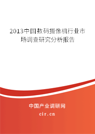 2013中國數(shù)碼攝像機行業(yè)市場調(diào)查研究分析報告 2013中國數(shù)碼攝像機行業(yè)市場調(diào)查研究分析報告