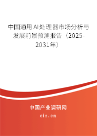 中國(guó)通用AI處理器市場(chǎng)分析與發(fā)展前景預(yù)測(cè)報(bào)告（2025-2031年）