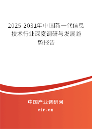 2025-2031年中國新一代信息技術(shù)行業(yè)深度調(diào)研與發(fā)展趨勢報告