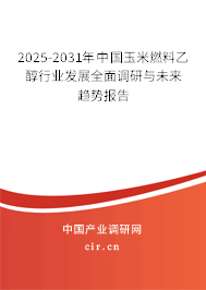 2025-2031年中國(guó)玉米燃料乙醇行業(yè)發(fā)展全面調(diào)研與未來趨勢(shì)報(bào)告