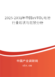 2025-2031年中國eVTOL電池行業(yè)現(xiàn)狀與前景分析