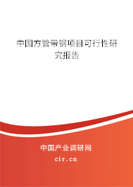 中國(guó)方管帶鋼項(xiàng)目可行性研究報(bào)告