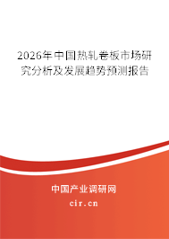 2025年中國熱軋卷板市場研究分析及發(fā)展趨勢預(yù)測報告