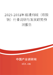 2025-2031年福建純堿（碳酸鈉）行業(yè)調(diào)研與發(fā)展趨勢(shì)預(yù)測(cè)報(bào)告