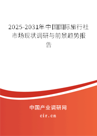 2025-2031年中國國際旅行社市場現(xiàn)狀調(diào)研與前景趨勢報告