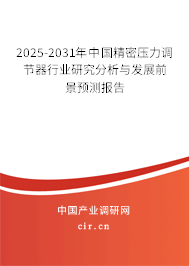 2025-2031年中國精密壓力調(diào)節(jié)器行業(yè)研究分析與發(fā)展前景預(yù)測報(bào)告
