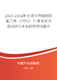2025-2031年全球與中國聚四氟乙烯（PTFE）行業(yè)發(fā)展深度調(diào)研與未來趨勢預測報告