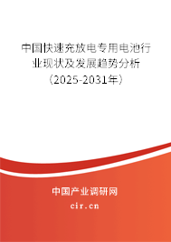 中國快速充放電專用電池行業(yè)現(xiàn)狀及發(fā)展趨勢分析(2025-2031年) 中國快速充放電專用電池行業(yè)現(xiàn)狀及發(fā)展趨勢分析(2025-2031年)