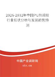 2026-2032年中國PU熱熔膠行業(yè)現(xiàn)狀分析與發(fā)展趨勢預(yù)測
