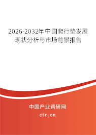 2024-2030年中國爬行墊發(fā)展現(xiàn)狀分析與市場前景報告