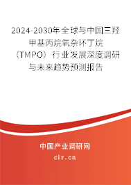 2024-2030年全球與中國(guó)三羥甲基丙烷氧雜環(huán)丁烷(TMPO)行業(yè)發(fā)展深度調(diào)研與未來(lái)趨勢(shì)預(yù)測(cè)報(bào)告 2024-2030年全球與中國(guó)三羥甲基丙烷氧雜環(huán)丁烷(TMPO)行業(yè)發(fā)展深度調(diào)研與未來(lái)趨勢(shì)預(yù)測(cè)報(bào)告